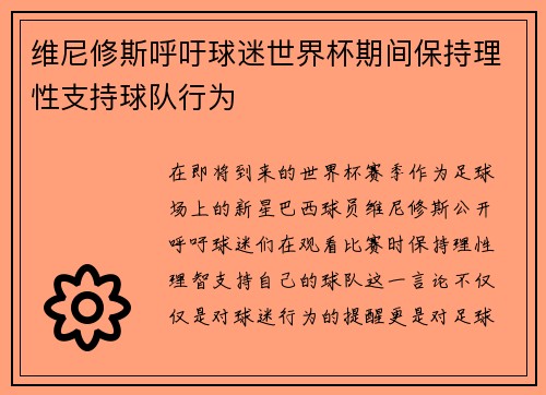 维尼修斯呼吁球迷世界杯期间保持理性支持球队行为